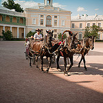 Фотограф Слава Лапин, фото и видео съемка свадеб